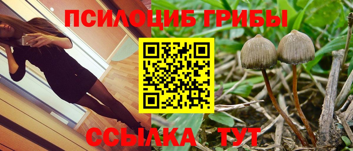 Галлюциногенные грибы MAGIC MUSHROOMS  Галлюциногенные грибы прущие грибы  Вход с VPN  Борзя 