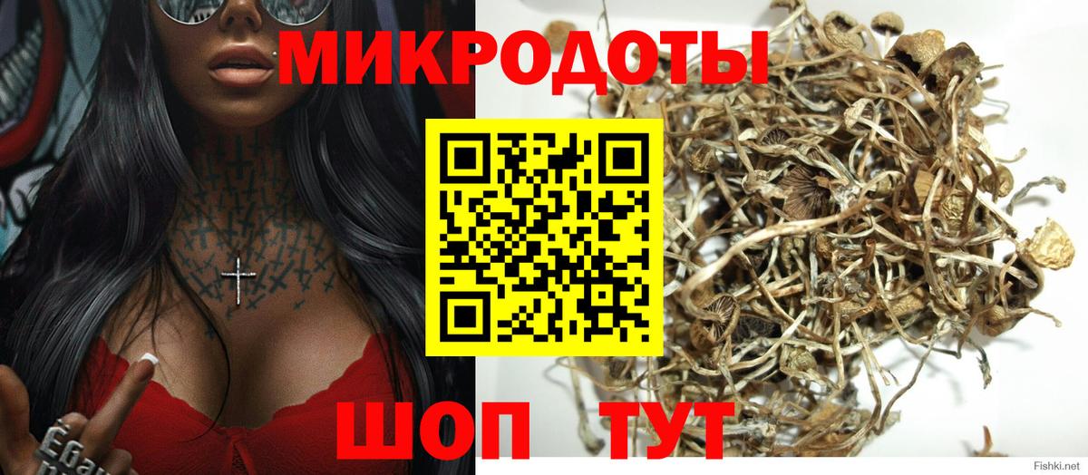 Галлюциногенные грибы мухоморы Борзя